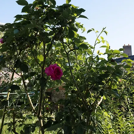 La Montpensier - Maison Dans Le Centre D'eu Eu (Seine-Maritime)
